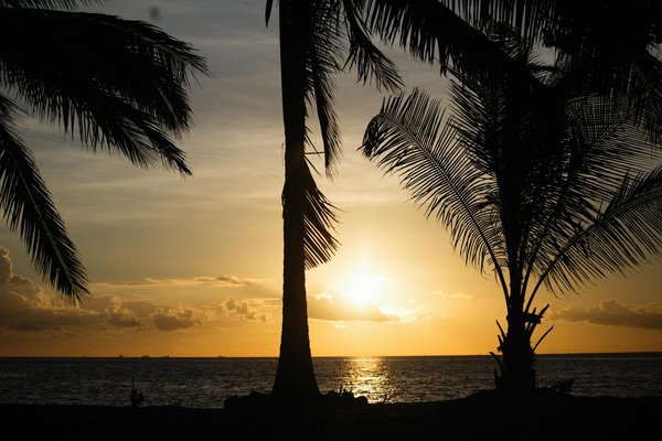Producteur de vins de la vallée du rhône : découvrez le domaine martin