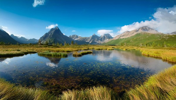 Découvrez le parc de jeux angers : skoubi parc pour vos enfants