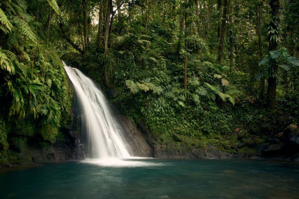 Écotourisme et nature : découvrez les trésors de guadeloupe