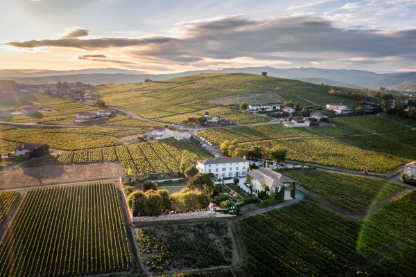 Producteur de vins de la vallée du rhône : découvrez le domaine martin