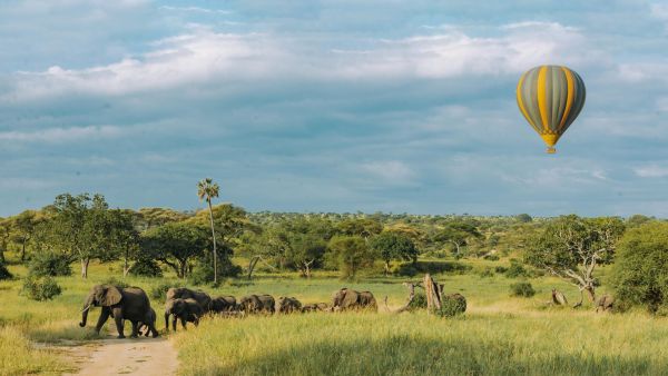 Twalo, spécialiste des voyages sur mesure en afrique exceptionnelle