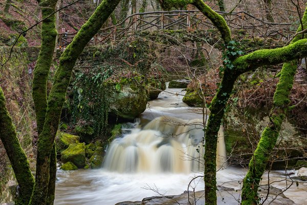 Quelles croisières offrent des excursions pour découvrir les cascades cachées de l'Amérique du Sud?