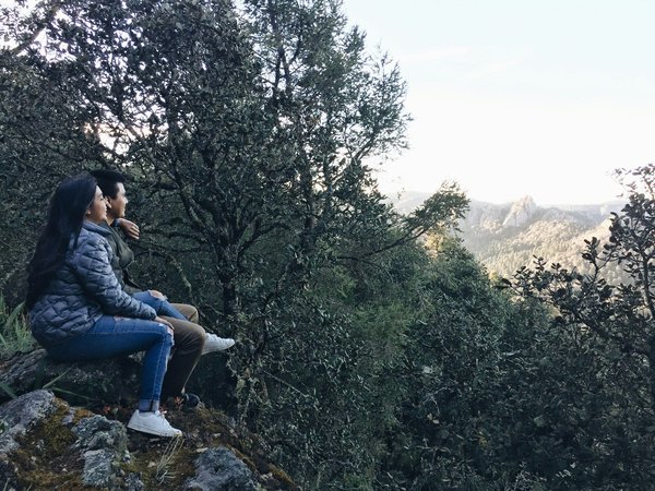 Aventure inoubliable : baleine en voilier à tenerife